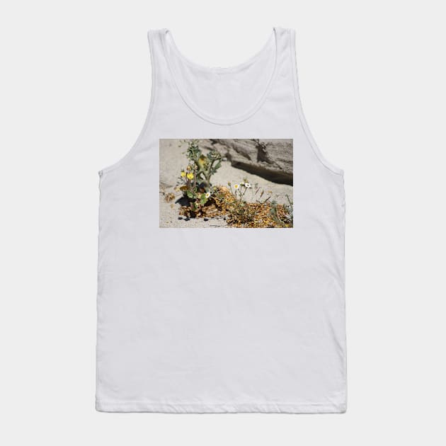 Closeup of Small Desert Wildflowers Tank Top by ButterflyInTheAttic